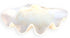 giant clam shell